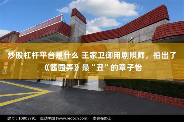 炒股杠杆平台是什么 王家卫御用剧照师，拍出了《酱园弄》最“丑”的章子怡