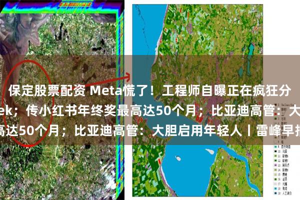 保定股票配资 Meta慌了！工程师自曝正在疯狂分析国内AI公司DeepSeek；传小红书年终奖最高达50个月；比亚迪高管：大胆启用年轻人丨雷峰早报