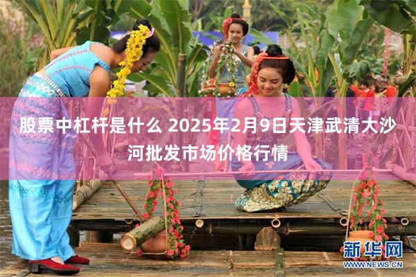 股票中杠杆是什么 2025年2月9日天津武清大沙河批发市场价格行情