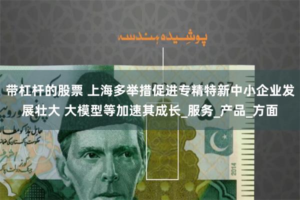 带杠杆的股票 上海多举措促进专精特新中小企业发展壮大 大模型等加速其成长_服务_产品_方面