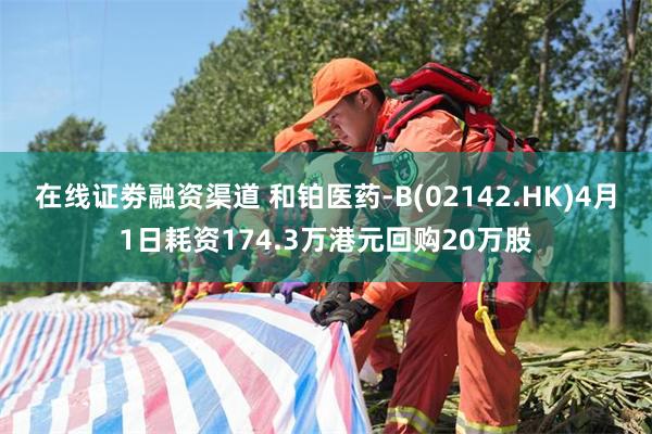 在线证劵融资渠道 和铂医药-B(02142.HK)4月1日耗资174.3万港元回购20万股