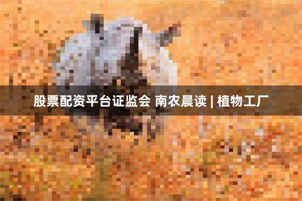 股票配资平台证监会 南农晨读 | 植物工厂