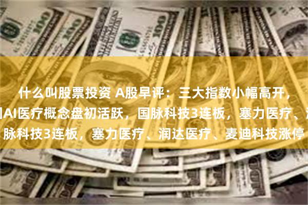 什么叫股票投资 A股早评：三大指数小幅高开，华为组建医疗卫生军团AI医疗概念盘初活跃，国脉科技3连板，塞力医疗、润达医疗、麦迪科技涨停