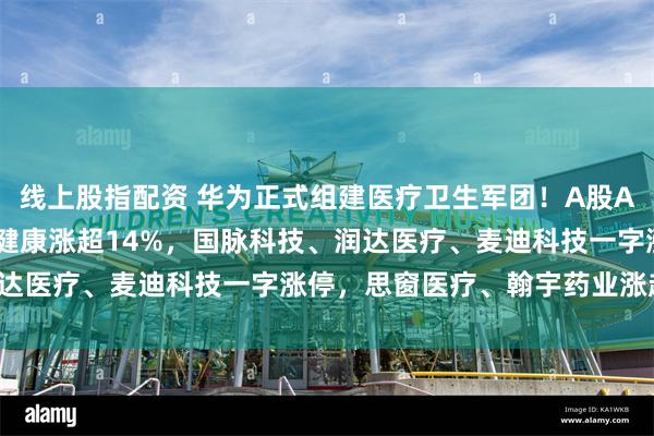 线上股指配资 华为正式组建医疗卫生军团！A股AI医疗概念股大涨，卫宁健康涨超14%，国脉科技、润达医疗、麦迪科技一字