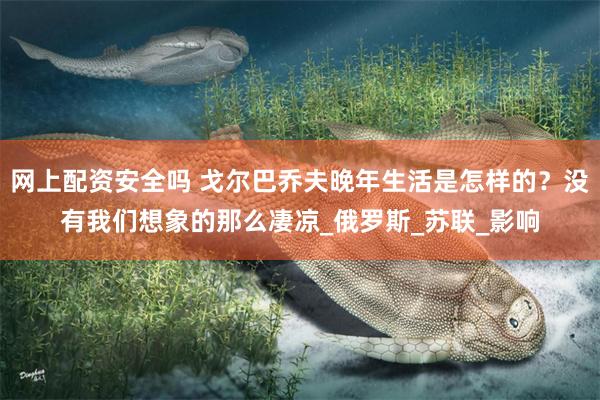 网上配资安全吗 戈尔巴乔夫晚年生活是怎样的？没有我们想象的那么凄凉_俄罗斯_苏联_影响