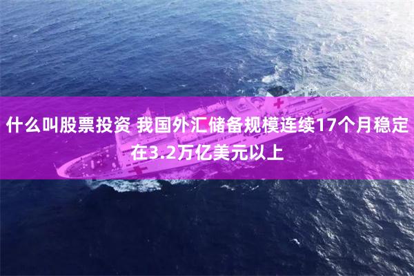 什么叫股票投资 我国外汇储备规模连续17个月稳定在3.2万亿美元以上