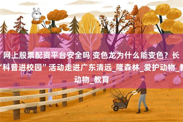 网上股票配资平台安全吗 变色龙为什么能变色？长隆“科普进校园”活动走进广东清远_隆森林_爱护动物_教育