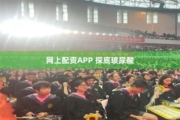 网上配资APP 探底玻尿酸