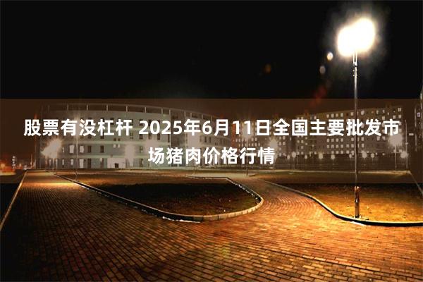 股票有没杠杆 2025年6月11日全国主要批发市场猪肉价格行情
