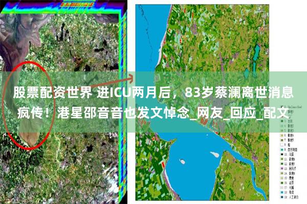 股票配资世界 进ICU两月后，83岁蔡澜离世消息疯传！港星邵音音也发文悼念_网友_回应_配文